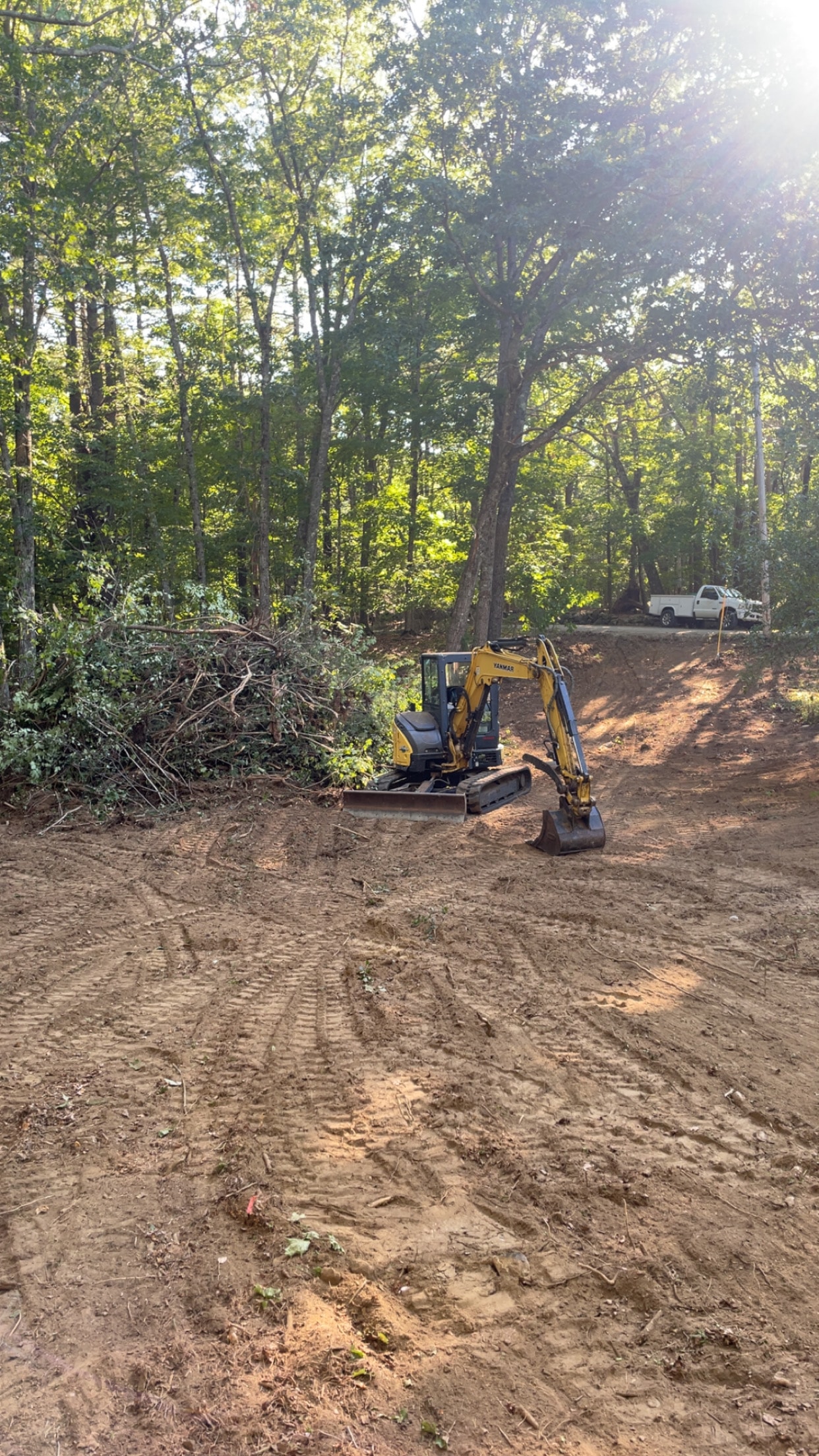 Land Clearing