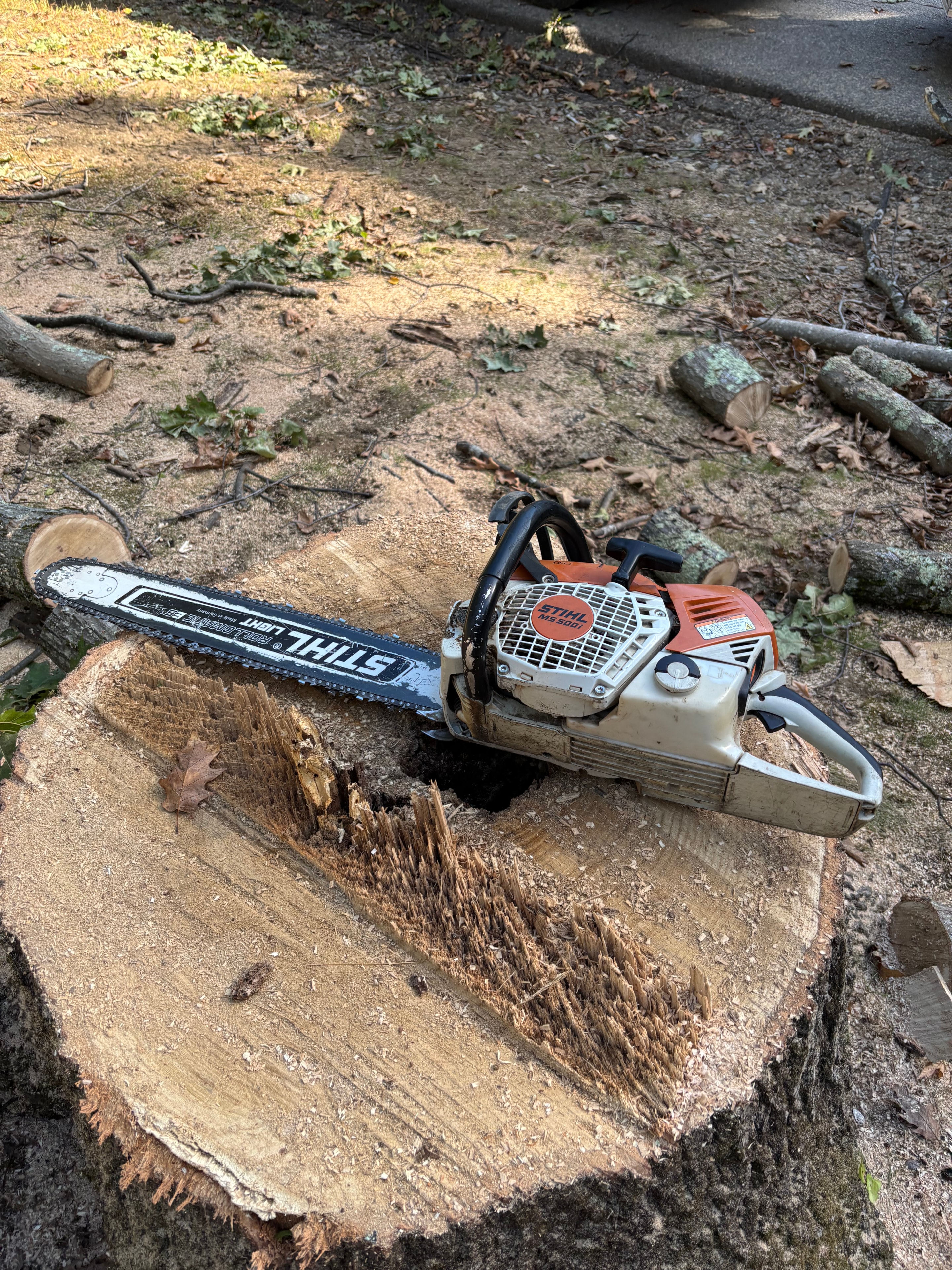 Large Tree Removal