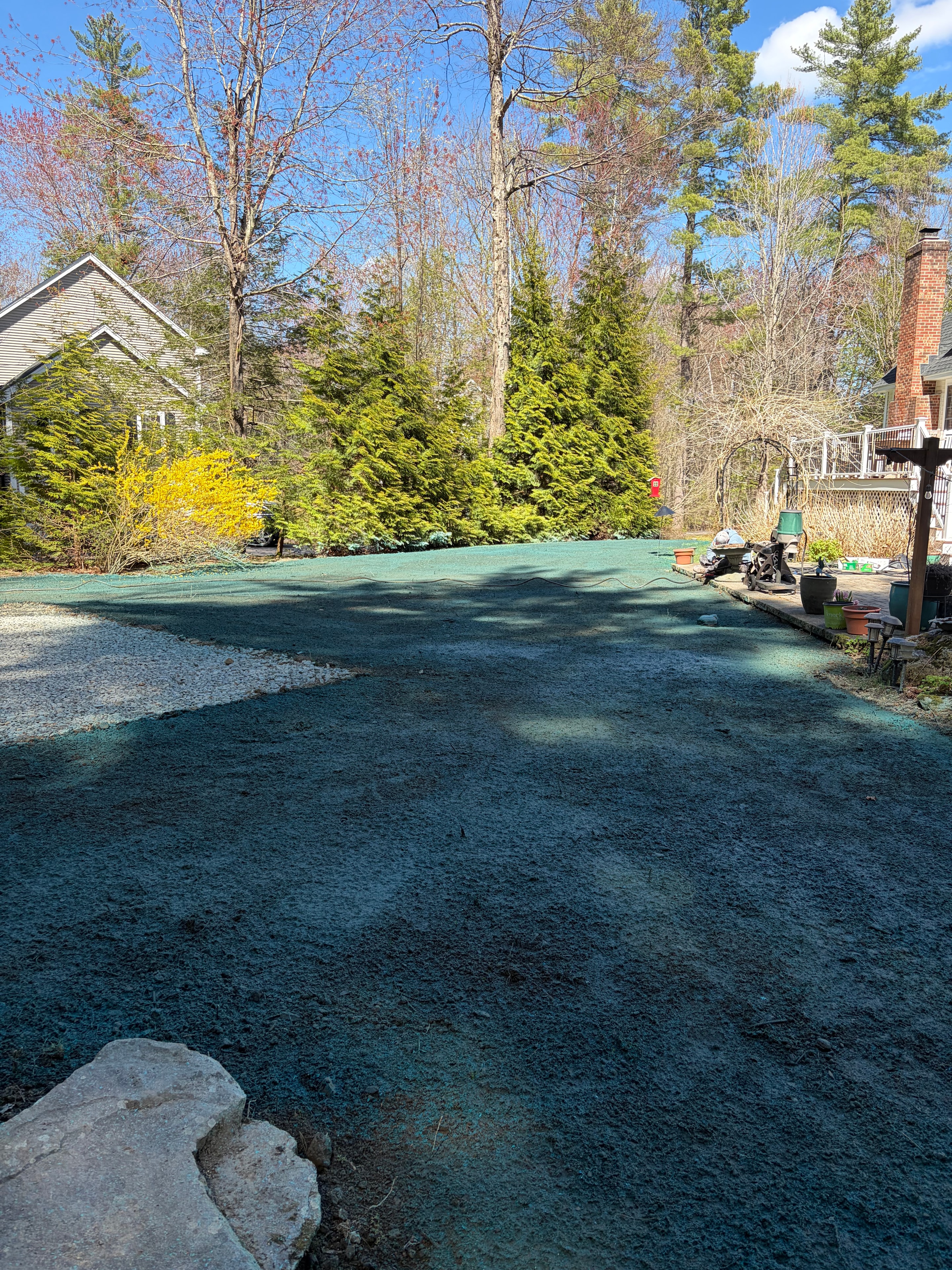 Residential Lawn Renovation